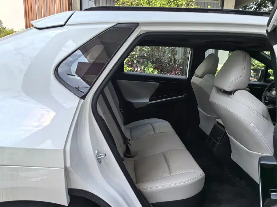 Toyota Bozhi - фото 22